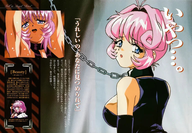 Cool Devices Fallen Angel Rina Art Book w/ CD