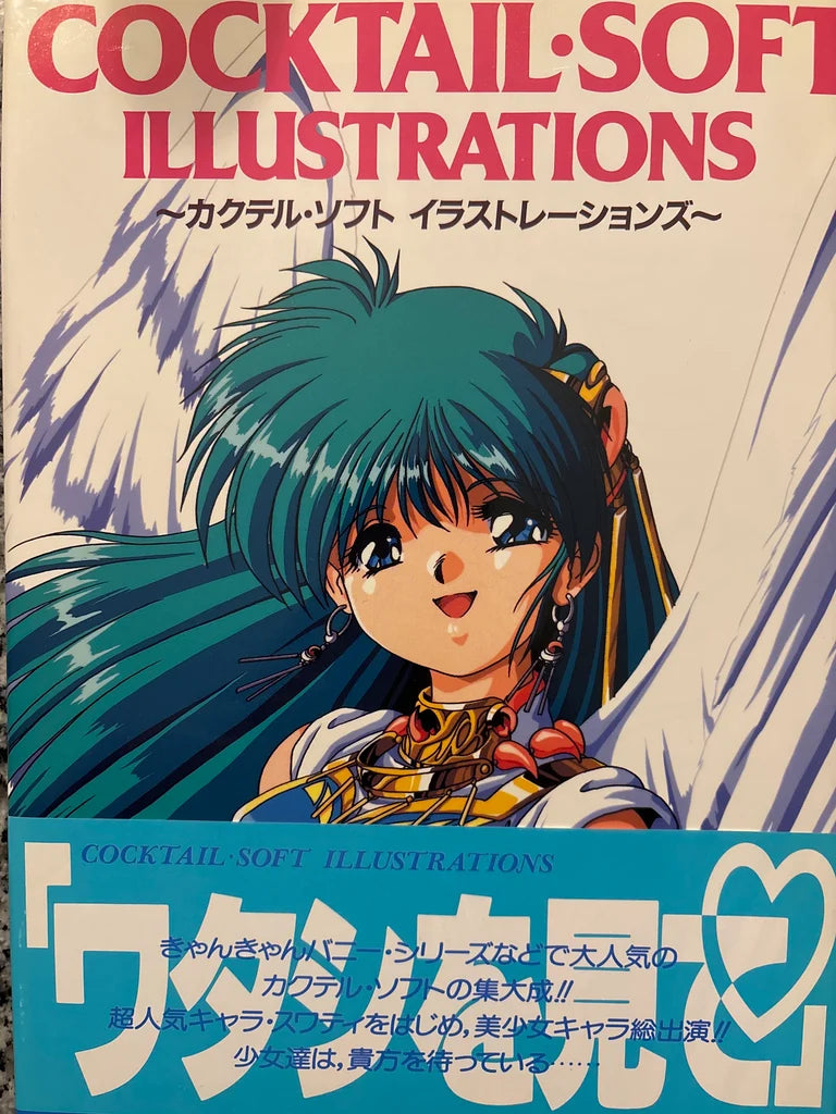 Cocktail Soft Illustrations & Can Can Bunny Art Books Special Box Set